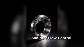 Unión estándar SMS