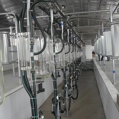 Un buen precio. La leche de las vacas y las cabras de las granjas lecheras en línea